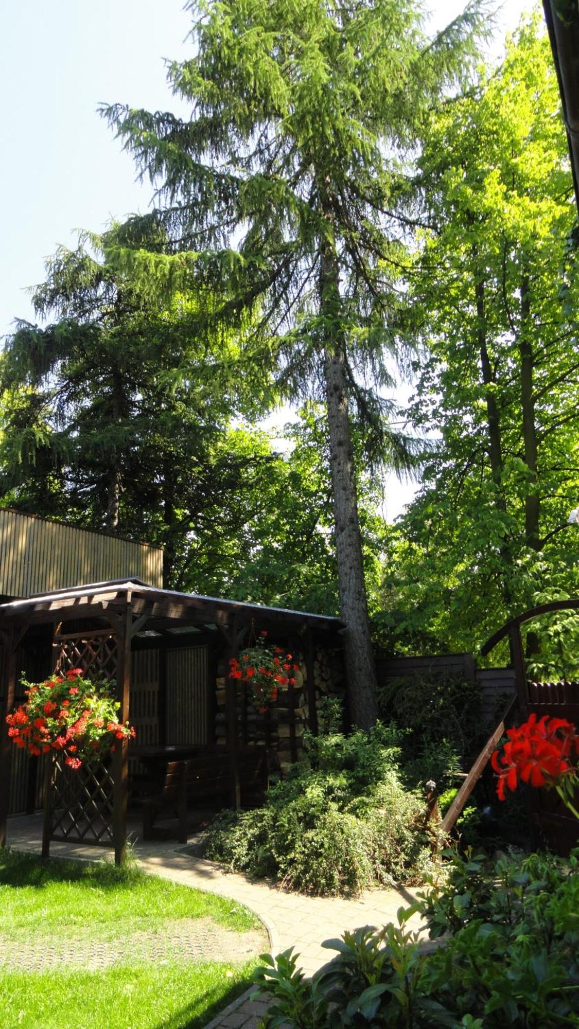 Villa Zosienka Gdansk Ngoại thất bức ảnh